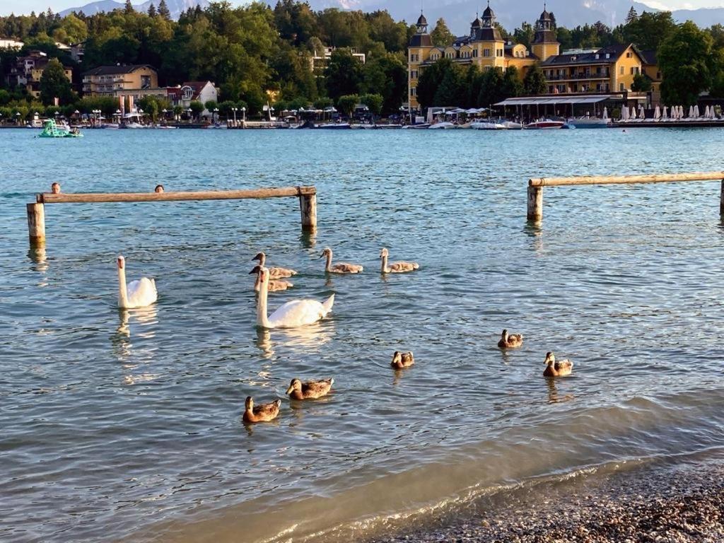 Appartement Mittagskogel Velden am Wörthersee Zewnętrze zdjęcie